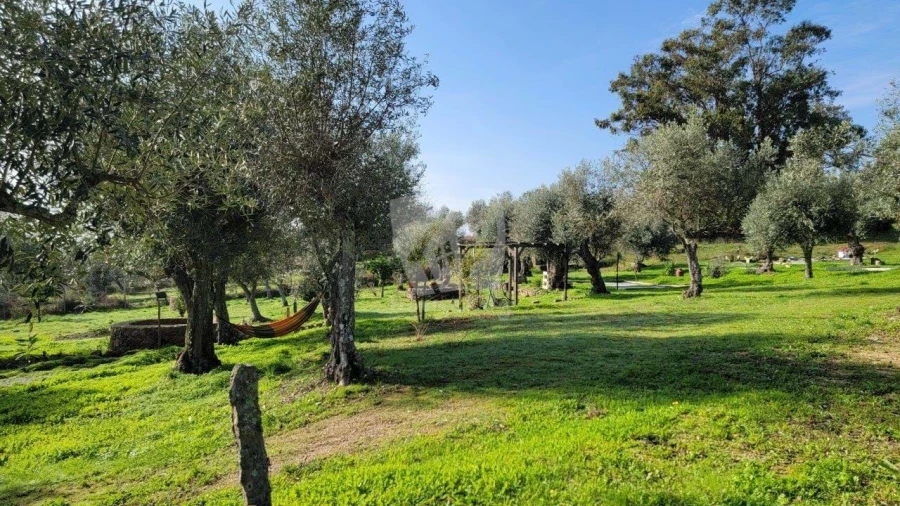 Quinta T3 para Venda em Castelo Branco Foto 35