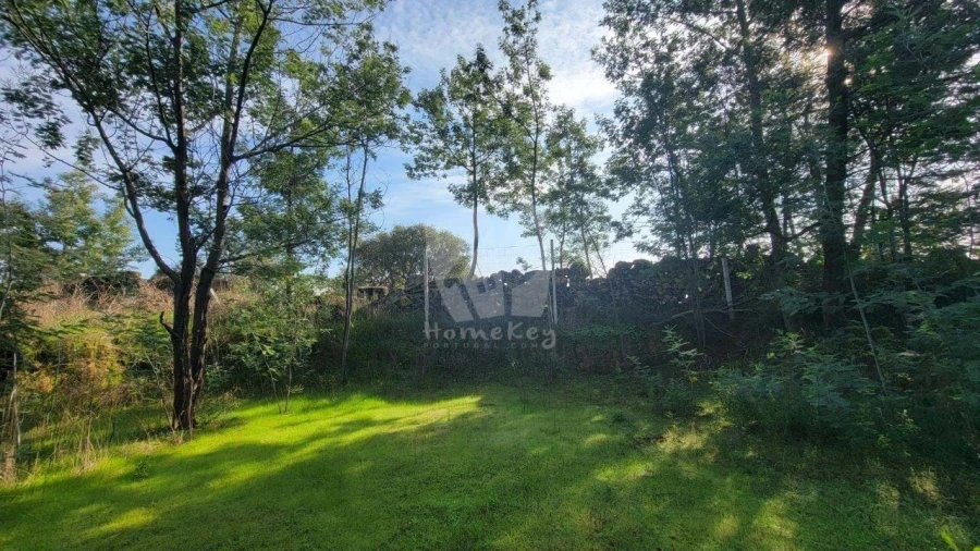 Quinta T3 para Venda em Castelo Branco Foto 44