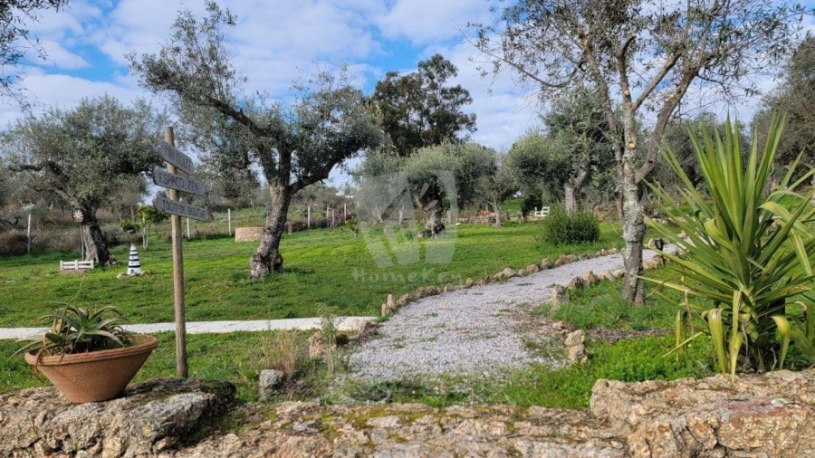 Quinta T3 para Venda em Castelo Branco Foto 72