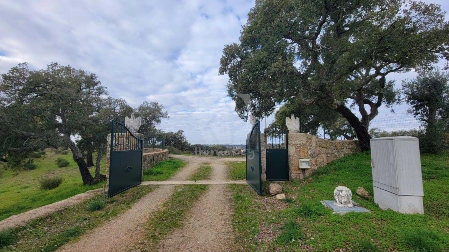 Quinta T3 para Venda em Castelo Branco Foto 97