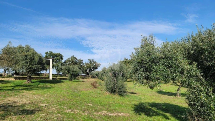 Quinta T3 para Venda em Castelo Branco Foto 31