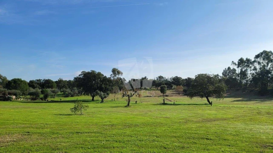 Quinta T3 para Venda em Castelo Branco Foto 42