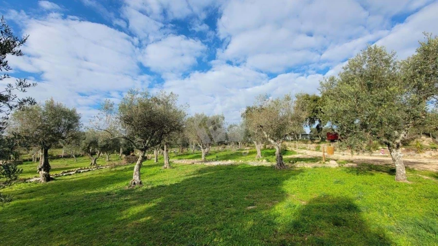 Quinta T3 para Venda em Castelo Branco Foto 68
