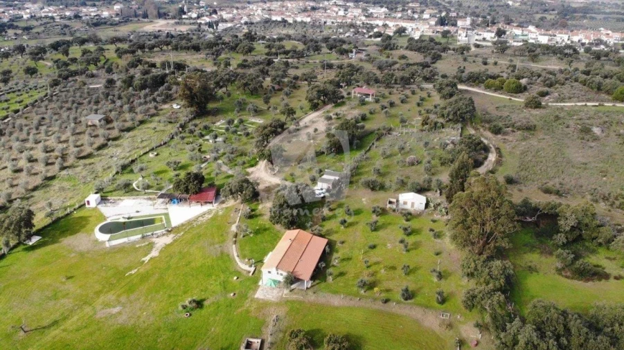 Quinta T3 para Venda em Castelo Branco Foto 94