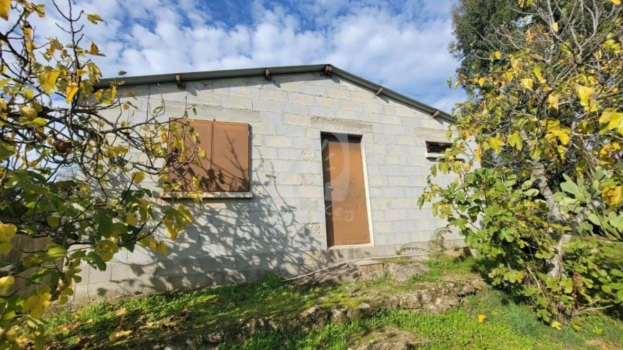 Quinta T3 para Venda em Castelo Branco Foto 88