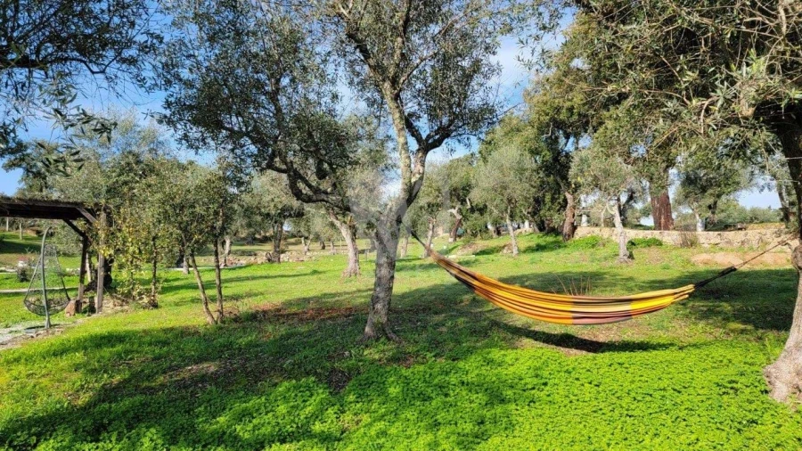 Quinta T3 para Venda em Castelo Branco Foto 37