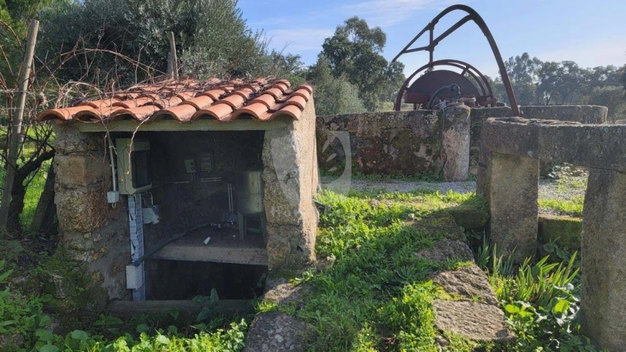 Quinta T3 para Venda em Castelo Branco Foto 48