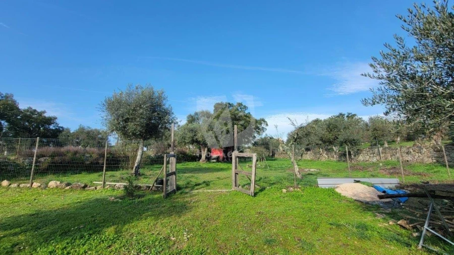 Quinta T3 para Venda em Castelo Branco Foto 29