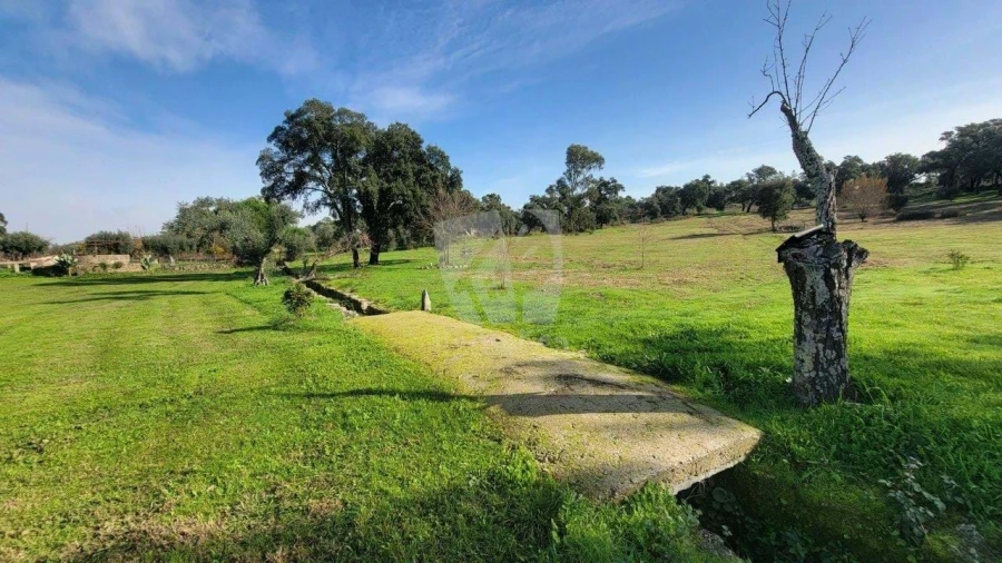 Quinta T3 para Venda em Castelo Branco Foto 43