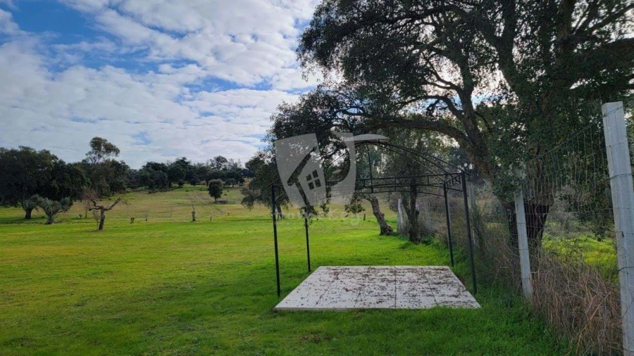 Quinta T3 para Venda em Castelo Branco Foto 70