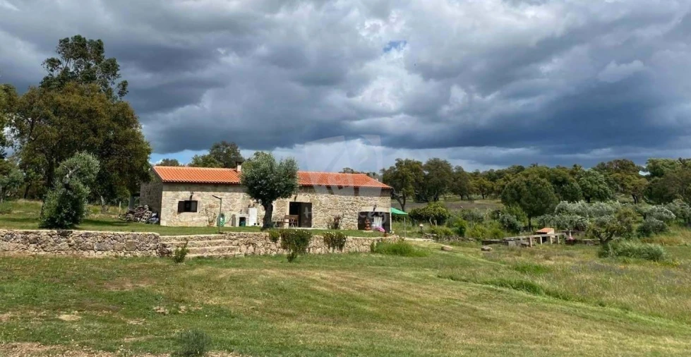 Quinta T3 para Venda em Castelo Branco Foto 86