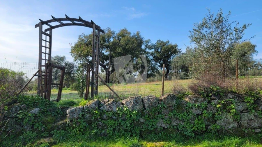 Quinta T3 para Venda em Castelo Branco Foto 30