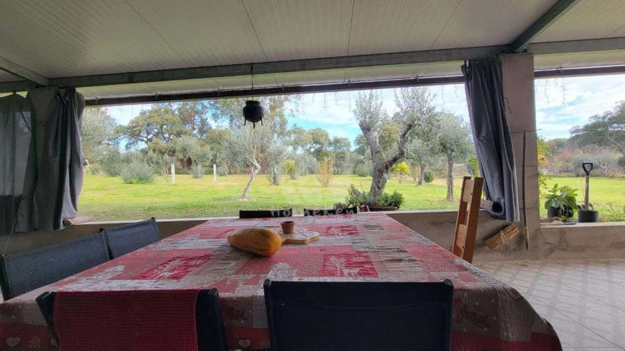 Quinta T3 para Venda em Castelo Branco Foto 56