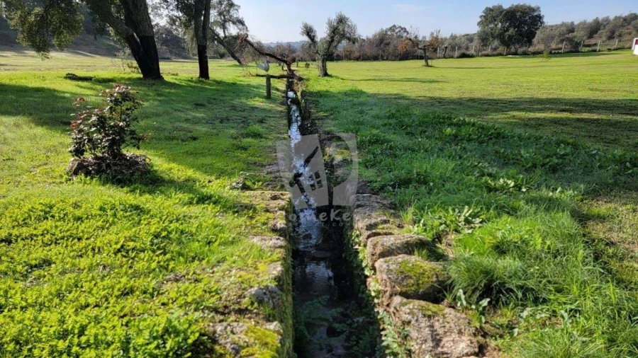 Quinta T3 para Venda em Castelo Branco Foto 46