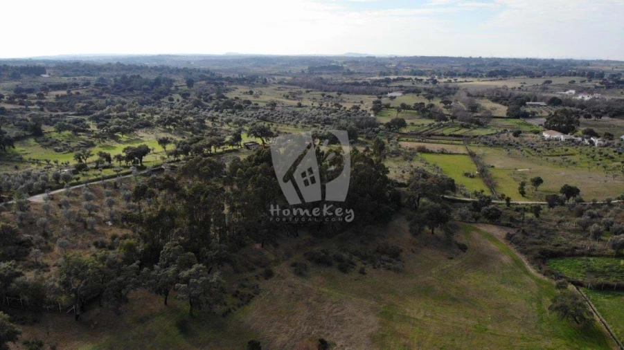 Quinta T3 para Venda em Castelo Branco Foto 93