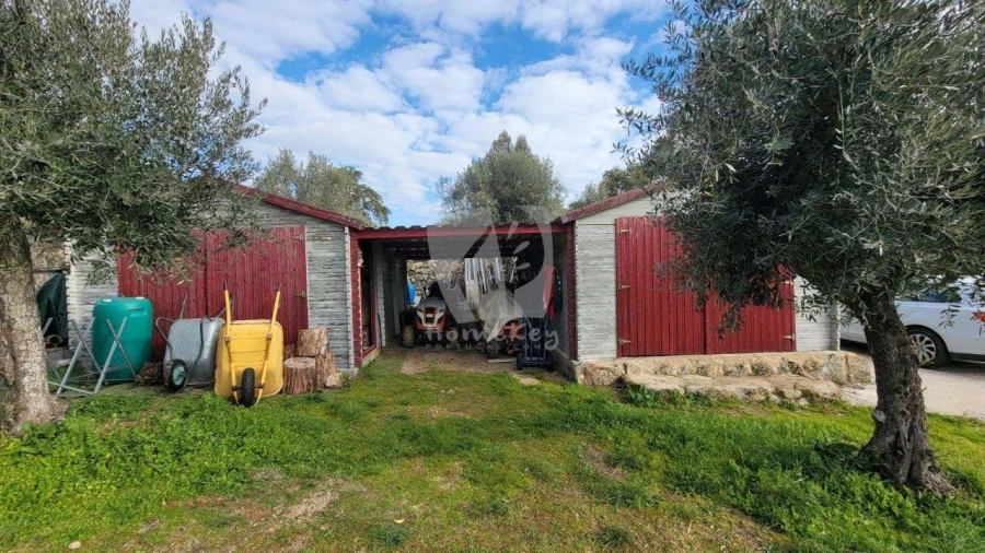 Quinta T3 para Venda em Castelo Branco Foto 74