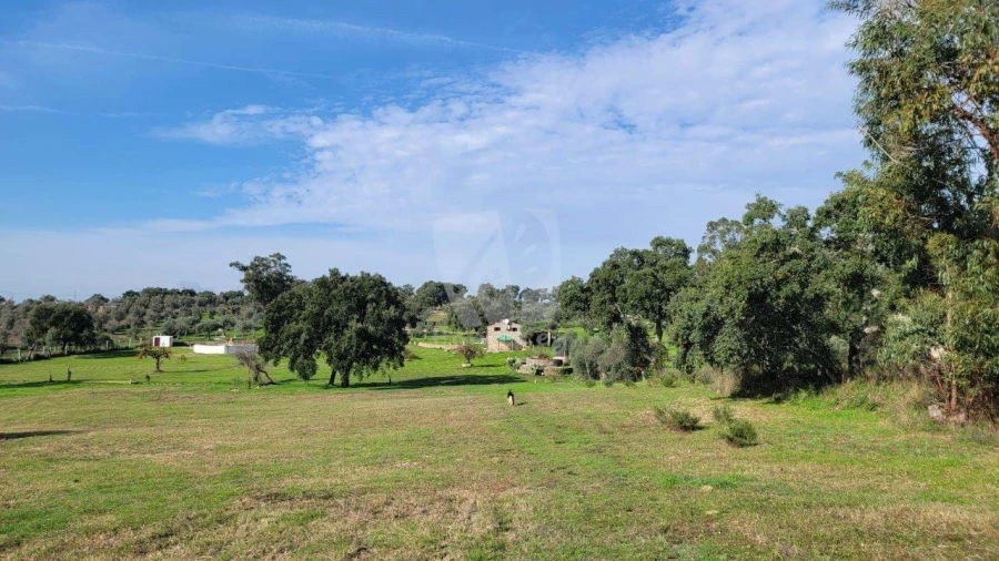 Quinta T3 para Venda em Castelo Branco Foto 45