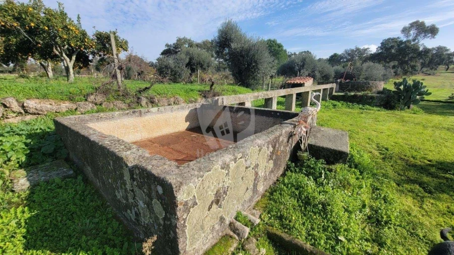 Quinta T3 para Venda em Castelo Branco Foto 49