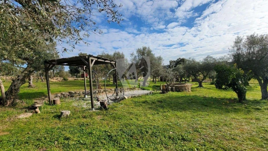 Quinta T3 para Venda em Castelo Branco Foto 79