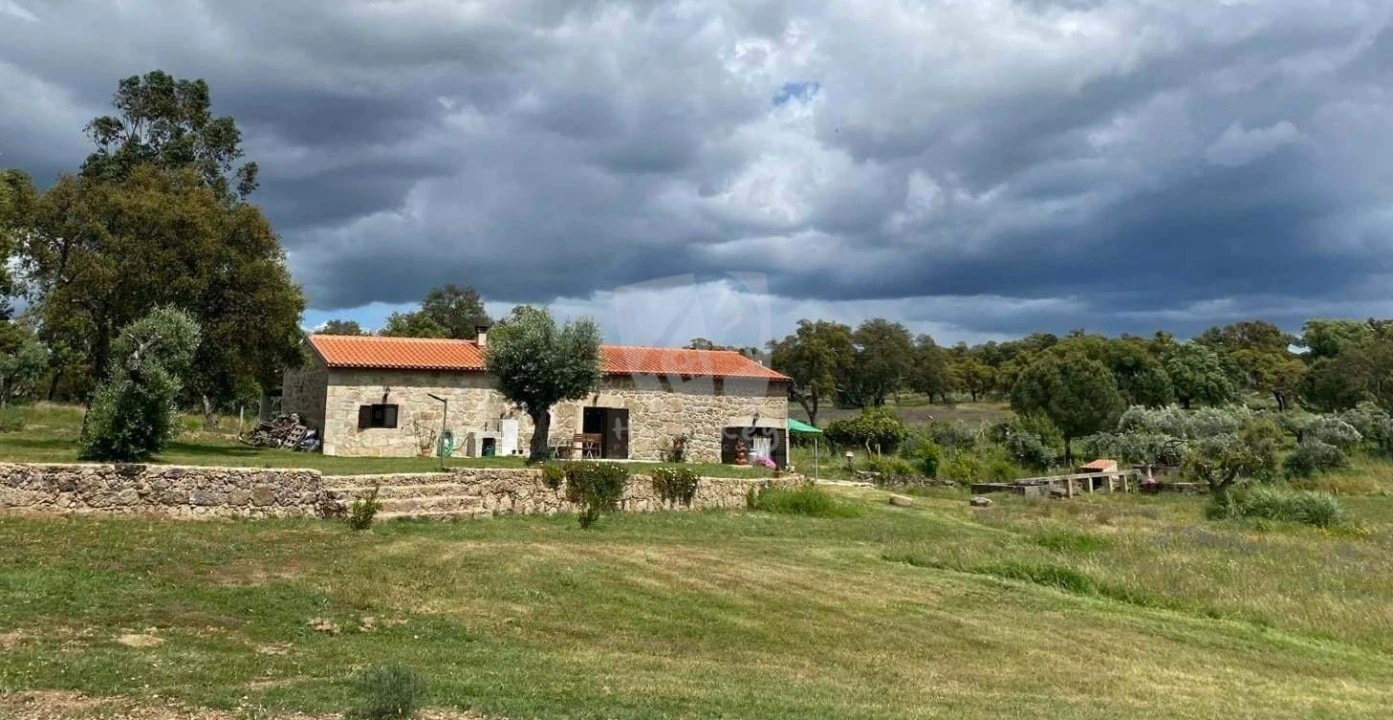 Quinta T3 para Venda em Castelo Branco Foto 86