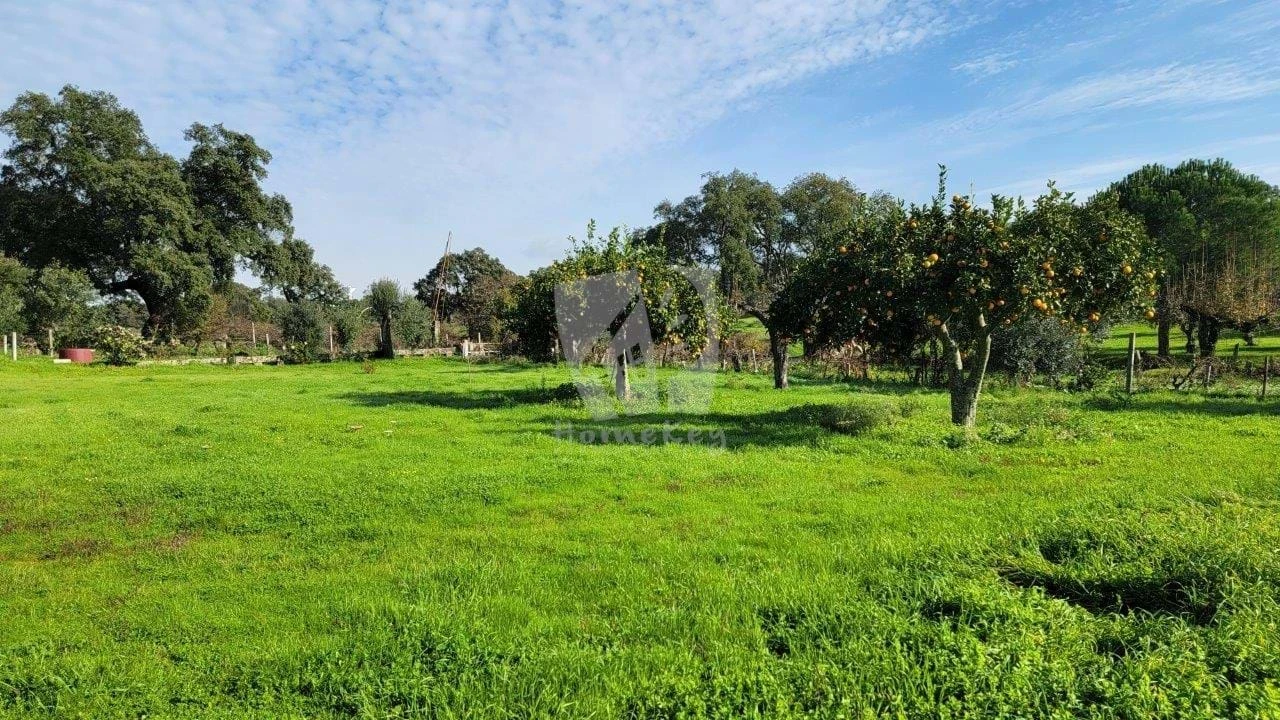 Quinta T3 para Venda em Castelo Branco Foto 50