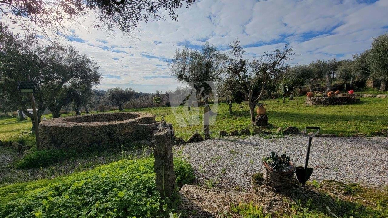 Quinta T3 para Venda em Castelo Branco Foto 80