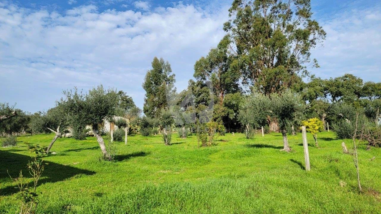 Quinta T3 para Venda em Castelo Branco Foto 51