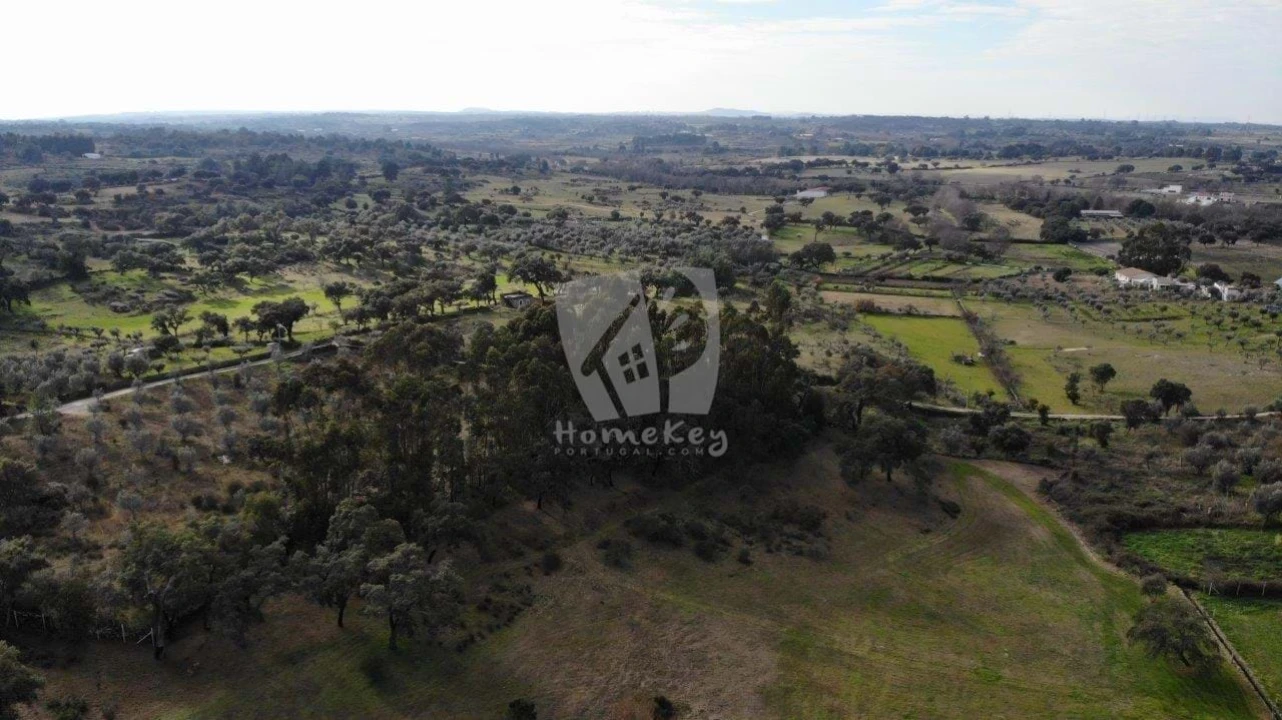 Quinta T3 para Venda em Castelo Branco Foto 93