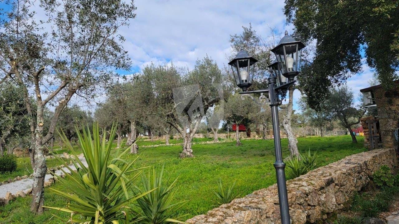 Quinta T3 para Venda em Castelo Branco Foto 73