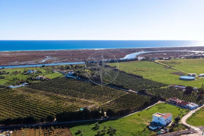 Moradia T4 para Venda em Tavira (Santa Maria e Santiago)