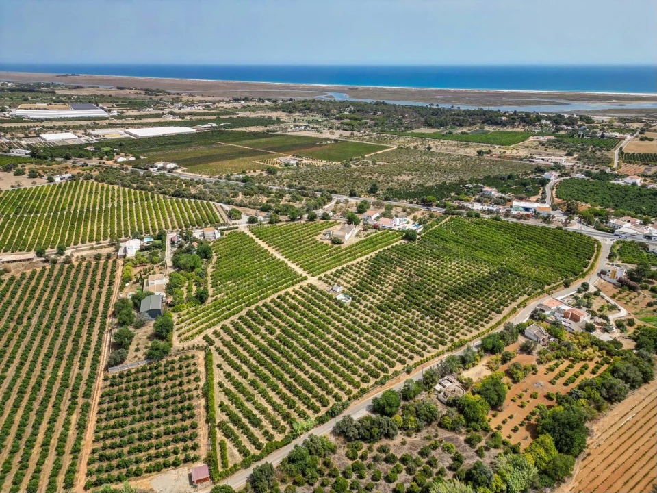 Quinta T6 para Venda em Conceição e Cabanas de Tavira Foto 14