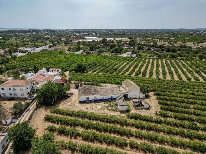 Quinta T6 para Venda em Conceição e Cabanas de Tavira Foto 2
