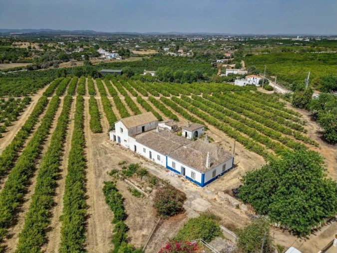 Quinta T6 para Venda em Conceição e Cabanas de Tavira Foto 4