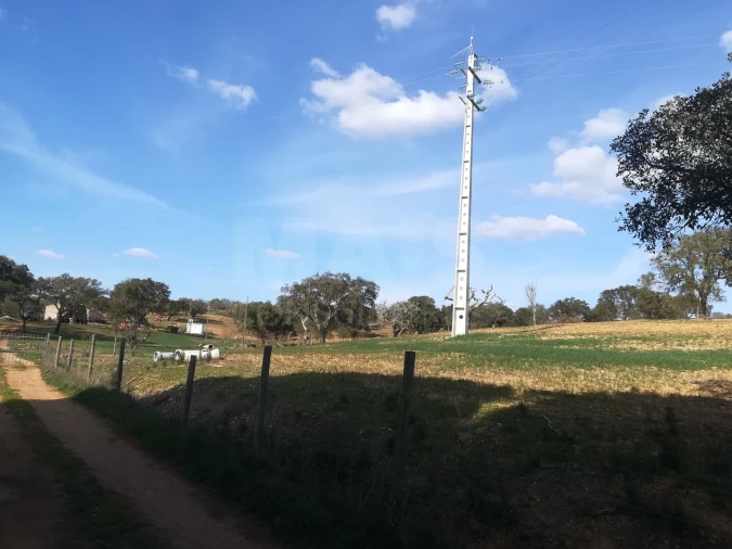 Quinta para Venda em Santiago do Cacém, Santa Cruz e São Bartolomeu da Serra Foto 5