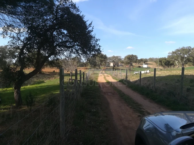 Quinta para Venda em Santiago do Cacém, Santa Cruz e São Bartolomeu da Serra Foto 4