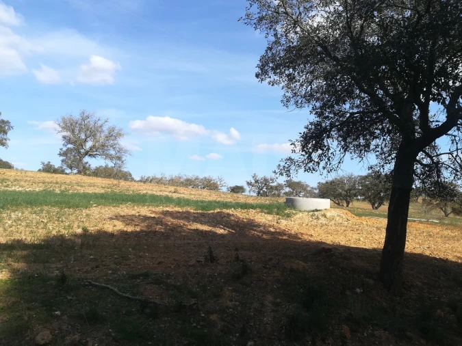 Quinta para Venda em Santiago do Cacém, Santa Cruz e São Bartolomeu da Serra Foto 6