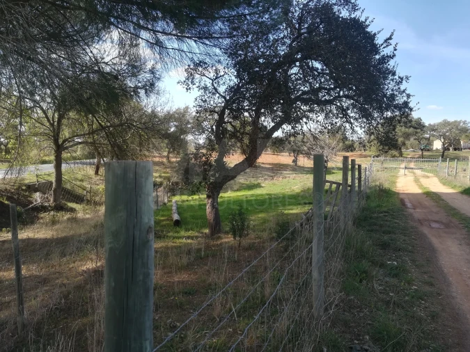 Quinta para Venda em Santiago do Cacém, Santa Cruz e São Bartolomeu da Serra Foto 3