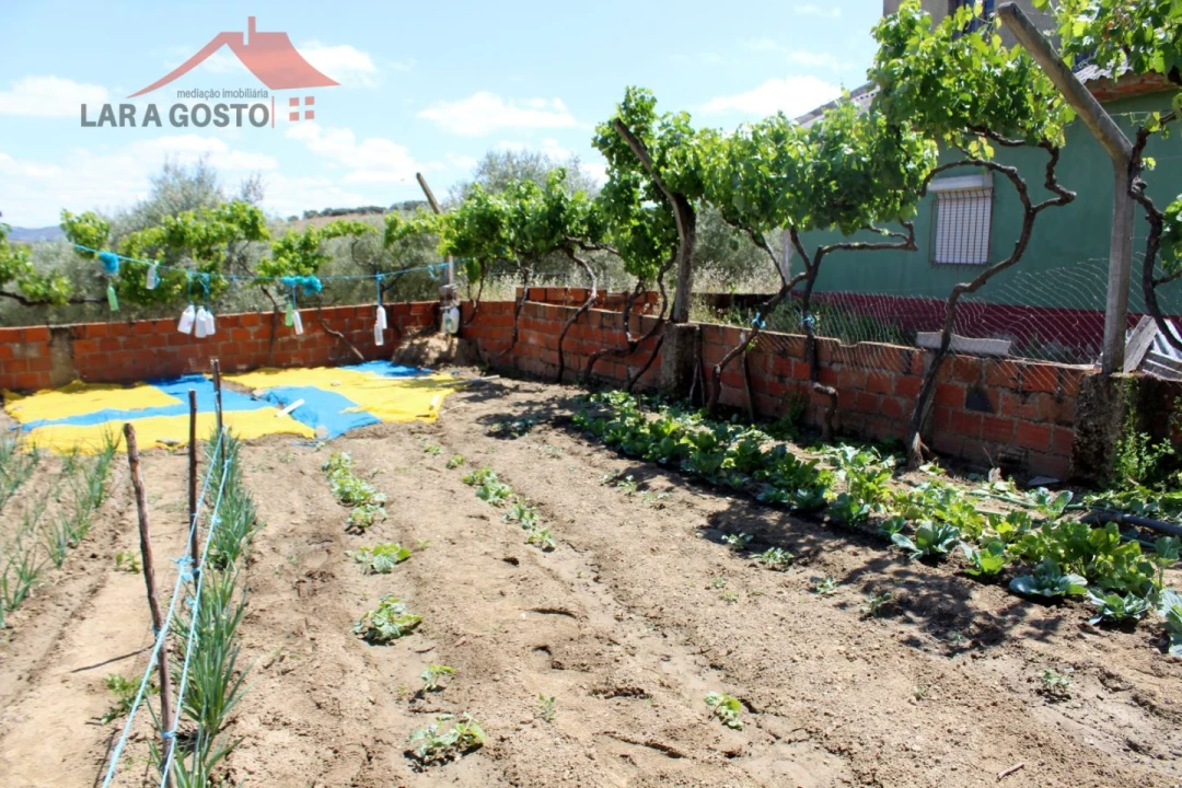 Moradia T3 para Venda em Grijo Foto 4