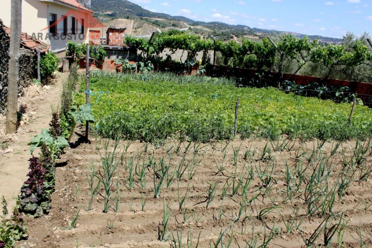 Moradia T3 para Venda em Grijo Foto 2