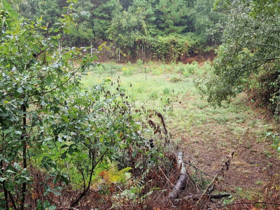 Quinta T2 para Venda em Cernache do Bonjardim, Nesperal e Palhais Foto 12