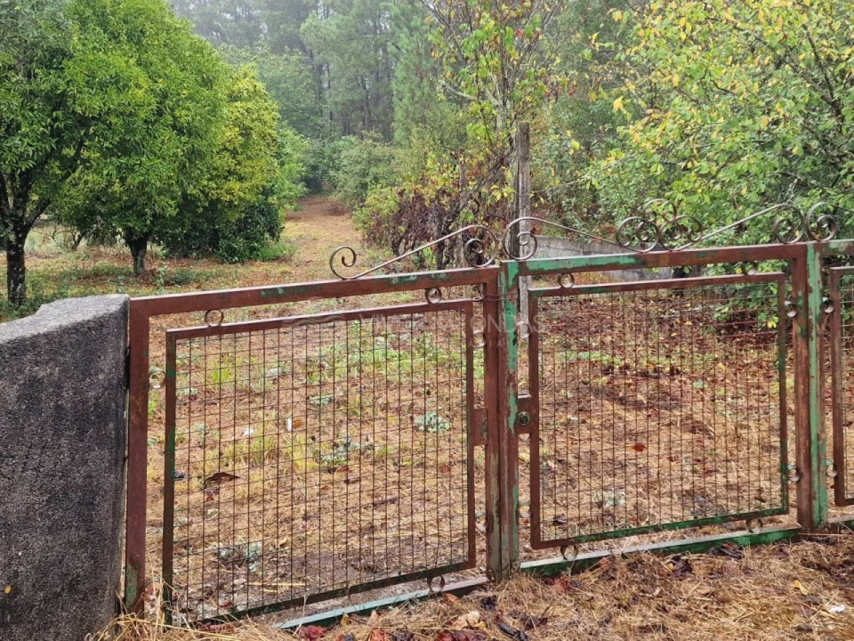 Quinta T2 para Venda em Cernache do Bonjardim, Nesperal e Palhais Foto 20