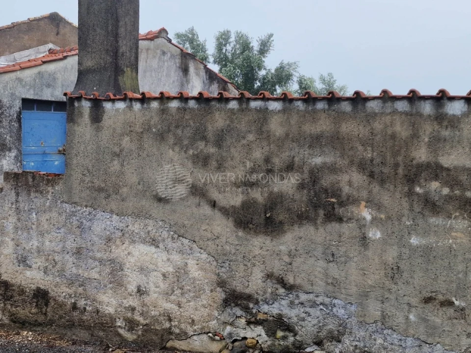 Quinta T2 para Venda em Cernache do Bonjardim, Nesperal e Palhais Foto 24