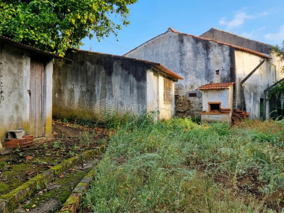 Quinta T2 para Venda em Cernache do Bonjardim, Nesperal e Palhais Foto 1