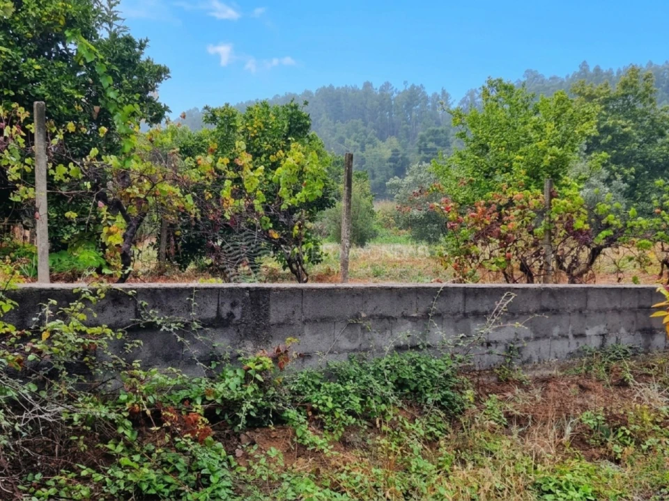 Quinta T2 para Venda em Cernache do Bonjardim, Nesperal e Palhais Foto 10