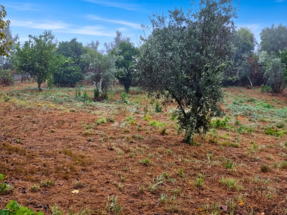 Quinta T2 para Venda em Cernache do Bonjardim, Nesperal e Palhais Foto 11