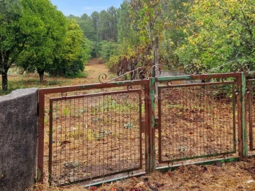 Quinta T2 para Venda em Cernache do Bonjardim, Nesperal e Palhais