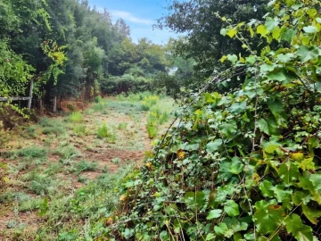 Quinta T2 para Venda em Cernache do Bonjardim, Nesperal e Palhais