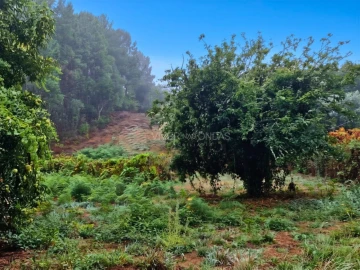 Quinta T2 para Venda em Cernache do Bonjardim, Nesperal e Palhais