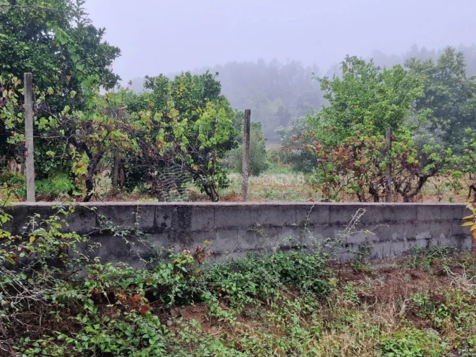 Quinta T2 para Venda em Cernache do Bonjardim, Nesperal e Palhais Foto 8