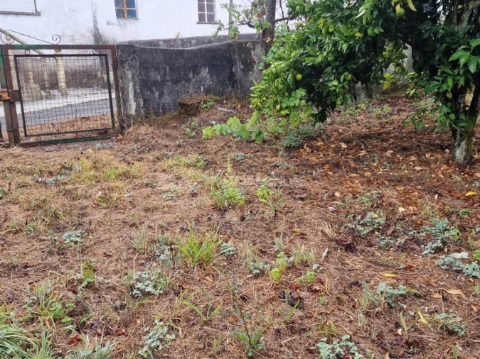 Quinta T2 para Venda em Cernache do Bonjardim, Nesperal e Palhais Foto 18
